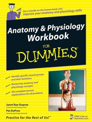cover image of Anatomy & Physiology Workbook For Dummies